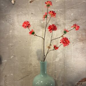 Zijden zinnia rood oranje