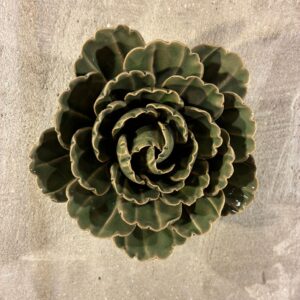 Muurbloem avocado green keiko peony