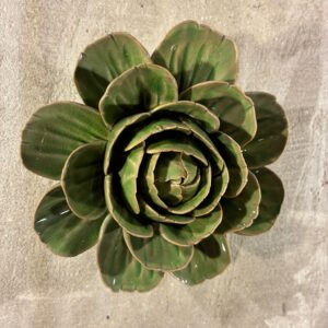 Muurbloem avocado green roa