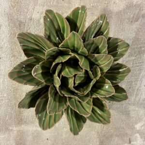 Muurbloem avocado green sorbet peony