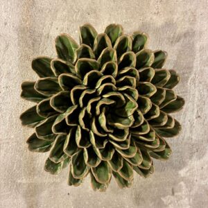 Muurbloem avocado green unicorn zinnia