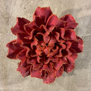 Muurbloem blush pink tundra carnation