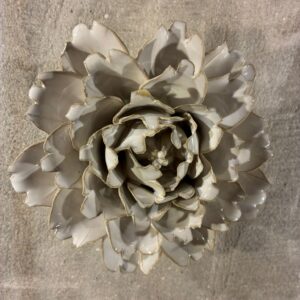 Muurbloem ivory comanche peony