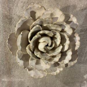 Muurbloem ivory keiko peony