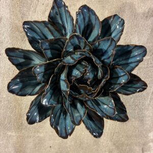 Muurbloem navy sorbet peony