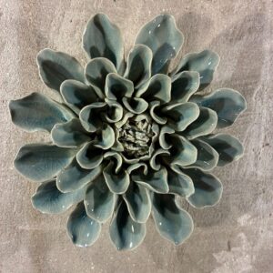 Muurbloem powder blue aphrodite