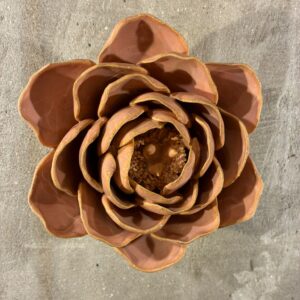 Muurbloem rose pink big ben peony