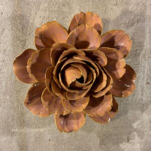 Muurbloem rose pink camellia