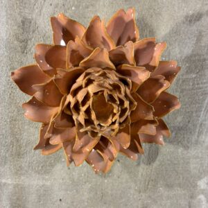 Muurbloem rose pink king protea