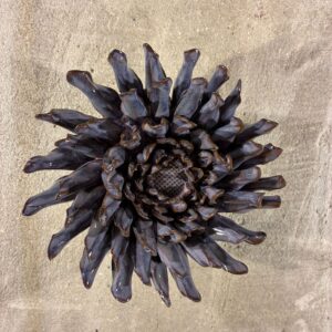 Muurbloem violet blue fleur de lis mum