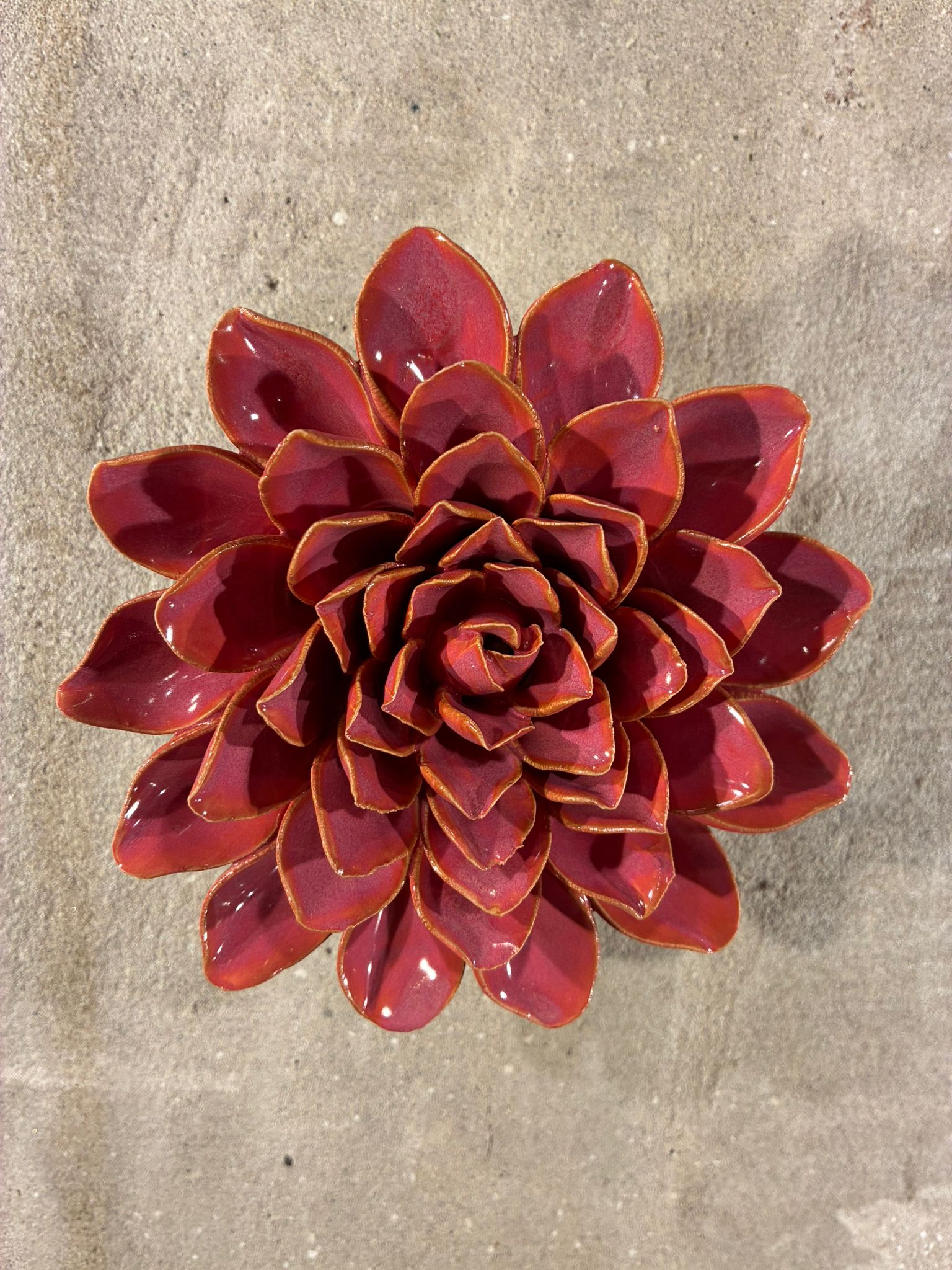 Muurbloemen